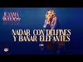 Nadar con delfines y bañar elefantes |  #JMI E010