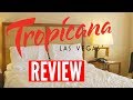 ROOM REVIEW: TROPICANA LAS VEGAS - YouTube