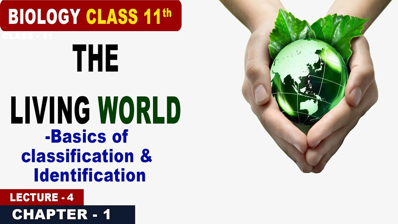 The Living World Basics of Classification & Identification Biology