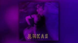 nicenight - Дикая (Official Audio)