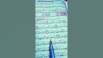 #القرآن_الكريم #quran #سورة_يس_القاريء الشيخ محمد الفقيه #اكسبلور