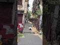 ….#viral #trending #comedy #funny #prank #ghost #ghostprank #prank