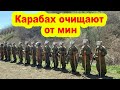 Карабах очищают от мин - ФОТО