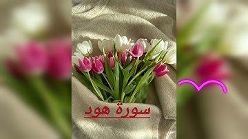 قرآن كريم ..سورة هود 💓راحة نفسية 💗تلاوة هادئة
