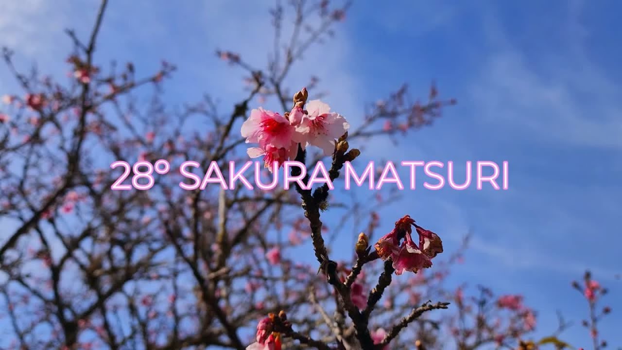 28º SAKURA MATSURI 2025