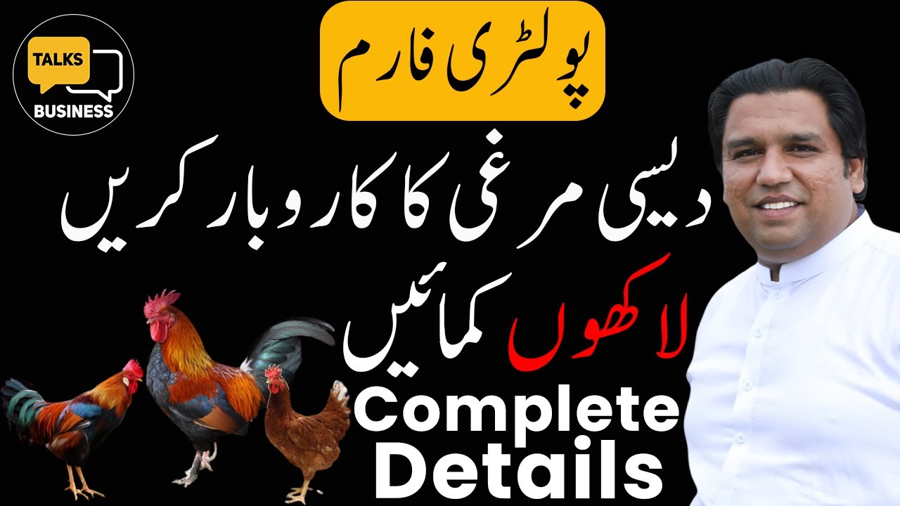How to Start A Poultry Farm Business With Desi Murgi in Pakistan - Complete Guideline!!!