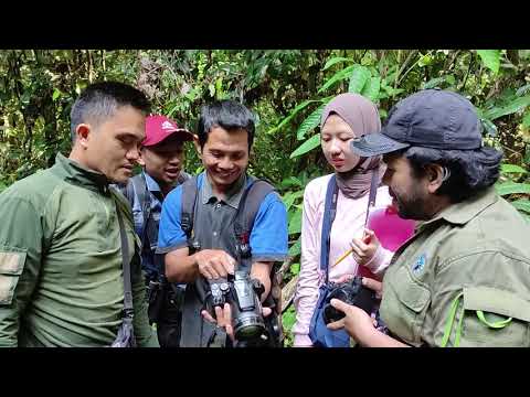 Video: Info Taman Fenologi - Pelajari Tentang Fenologi Tumbuhan