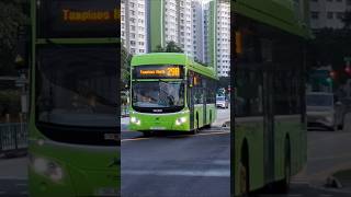 SG3014D 298 (ECDEP)