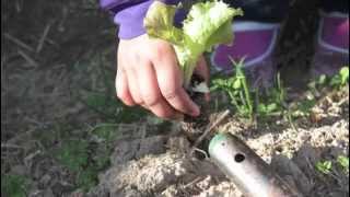 L'agricoltura naturale