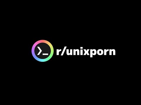 Average Linux user on r/unixporn