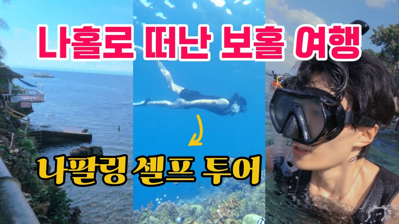 필리핀 보홀에서 경이로운 정어리떼와 함께 수영하기 - 나홀로 보홀 여행 (1편)