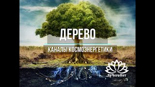 видео: Дерево (блок Синтез) || Теория и практика || Работа с Родом || Школа  картинка: Дерево (блок Синтез) || Теория и практика || Работа с Родом || Школа