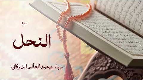 16 سورة النحل  بصوت القارئ الشيخ محمد العالم الدوكالى