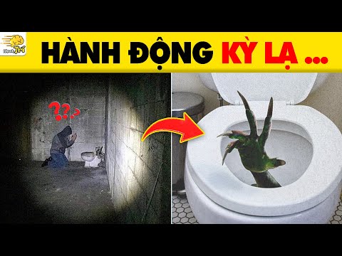 Video: Nhà vệ sinh Nhật Bản: nó là gì và nó đã trở thành gì