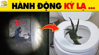 Skibidi Toilet Quá Bất Ổn & 13 Bí Ẩn Về Nhà Vệ Sinh Có Thể Khiến Bạn 100% Chú Ý  | Nhanh Trí screenshot 3