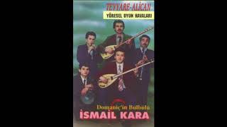 İsmail Kara - Alican Resimi