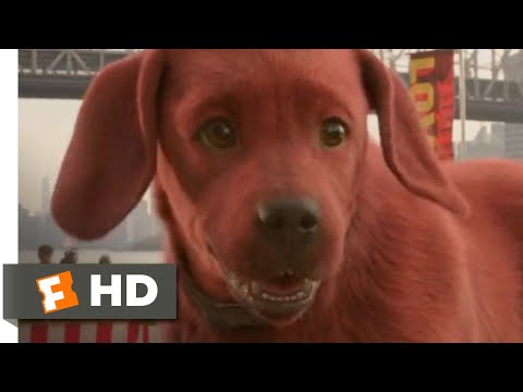 Clifford the Big Red Dog (2021) - Let Me Keep My Dog! Scene (10/10) | Movieclips