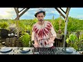 Jayboo  organic house sunset mix  by ephimeratulum