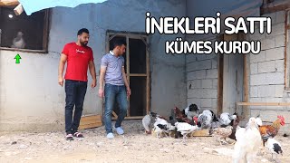 GENÇ GİRİŞİMCİ İNEKLERİ SATIP TAVUK KÜMESİ KURDU !