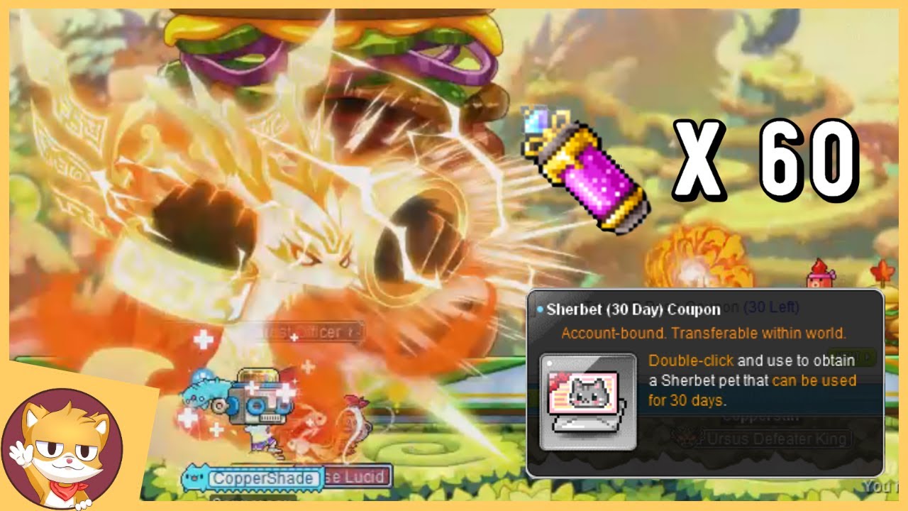 This Event is AMAZING for Leveling! MapleStory Festival of Foodies YouTube