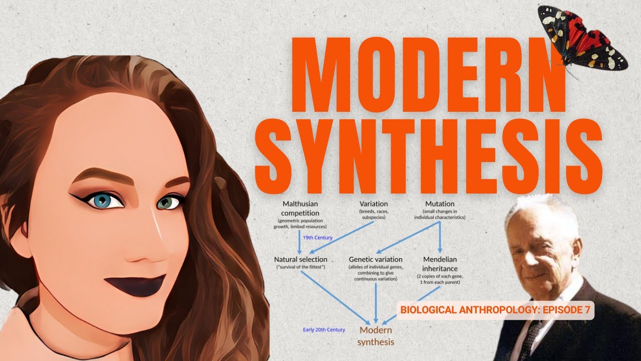 DR H EXPLAINS: Modern Synthesis