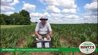 Joe Dedman - MLC & Agri-Sweet FG 2024