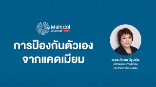 การป้องกันตัวเองจากแคดเมียม | Mahidol Channel Live by Mahidol Channel มหิดล แชนแนล 559 views 1 month ago 1 minute, 57 seconds