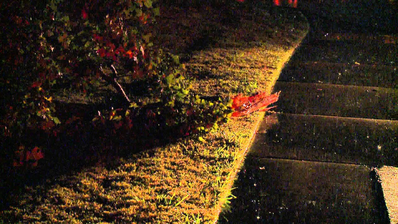 Rogers Tornado Damage VO