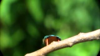 2012081904