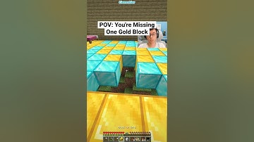 Minecraft POV: You