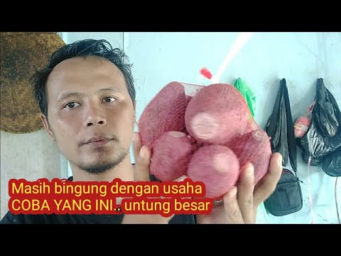 Cara Membuat Kremes Ubi Jalar Gula Merah