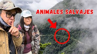 SILENCIO!!! 🤫 este lugar OCULTA especies MUY DIFÍCILES de ver “QUITO”🌳Josué y Elie by Ecuador Y Sus Paisajes Oficial 94,501 views 1 month ago 21 minutes