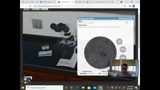 Mitosis virtual lab screenshot 1