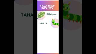 Siklus Hidup Kupu Kupu #Daurhidup #metamorphosis #kupukupu #pembelajaransains #sience #shortsvideo