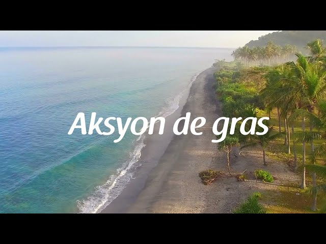 AKSYON DE GRAS - CHERISSON NOEL (Official Lyrics) class=