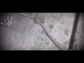 DANTE SKLAW- MISFIT (Official Music Video)