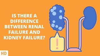 Renal Failure or Kidney Failure: Know the Difference