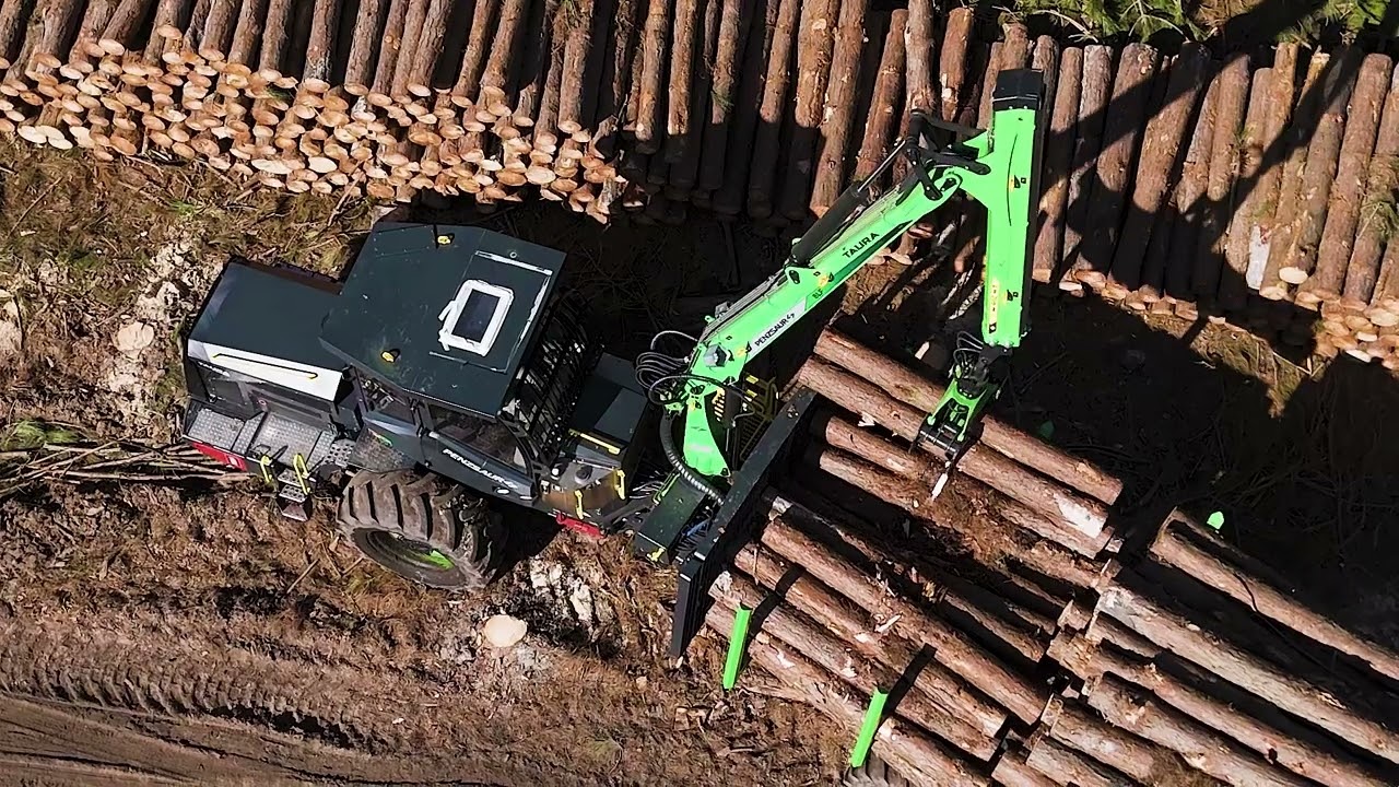 PENZSAUR TAURA PS1668: Resistência e força para dominar as florestas