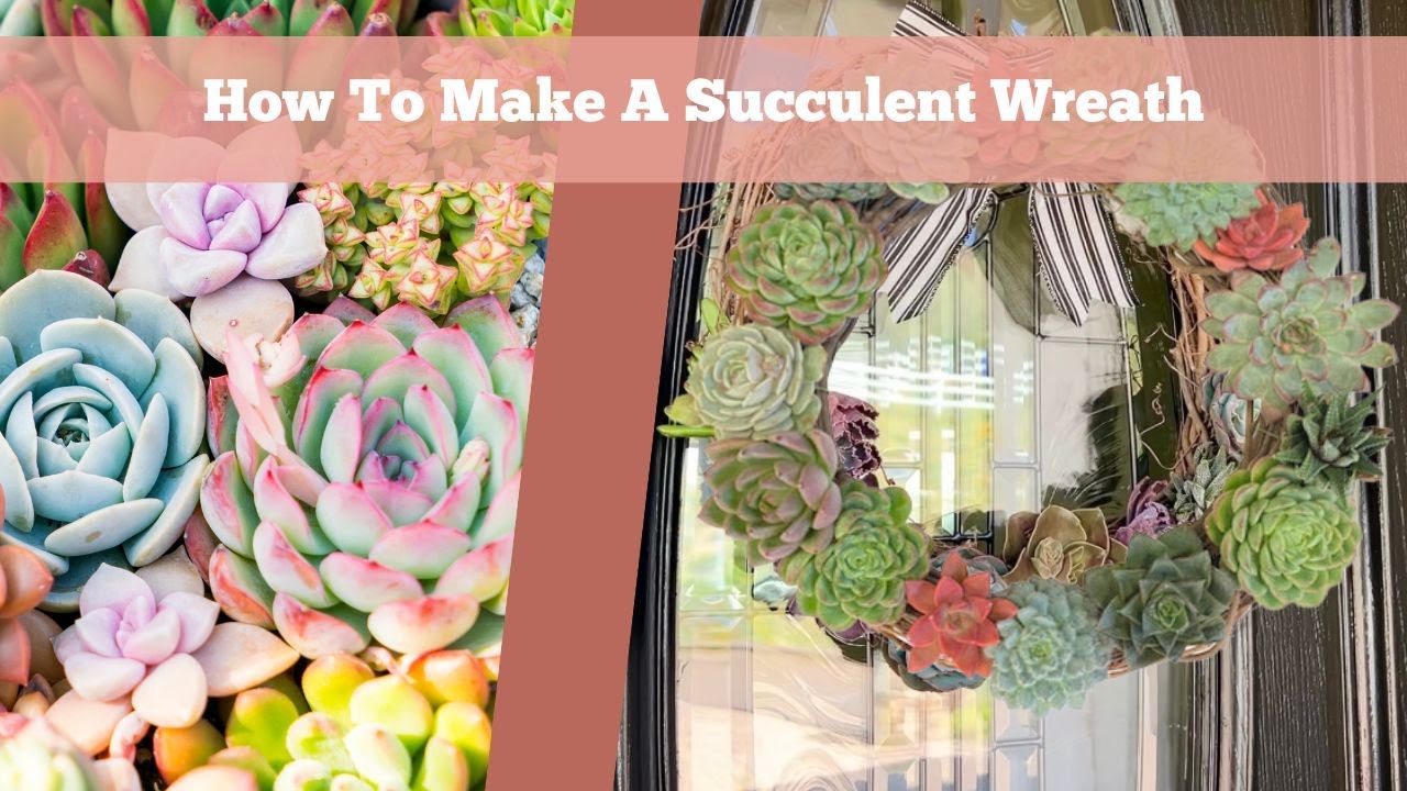 How to Make a Succulent Wreath the EASY Way! 🌿 | Step-by-Step Guide ...
