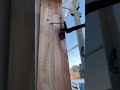 【大工】こんな使い方があるよ #carpenter #diy #大工
