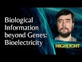 Biological information beyond genes bioelectricity  michael levin