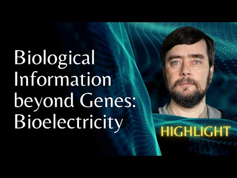 Video: Hvad er bioelektricitet i biologi?