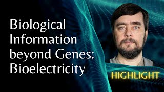 Biological Information beyond Genes: Bioelectricity | Michael Levin