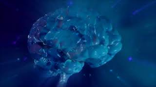 CHI St. Vincent: The Whole Picture of Health