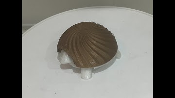 Squishy Turtle 3D Printed Time Lapse
