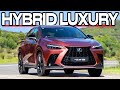 Lexus NX 450h+ F Sport: Long-Term Review 🚗