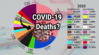 Cause of Deaths Worldwide by Share (1990-2020)