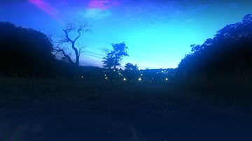 The process (an ambient symphony)