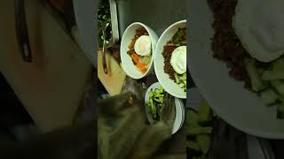 Download Lagu Food #shorts MP3 Download Lagu Food #shorts MP3