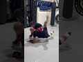 One Low Risk Takedown You Need To Have Jiujitsu Bjj Mma Duckjitsu One Low Risk Takedown You Need To Have Jiujitsu Bjj Mma Duckjitsu